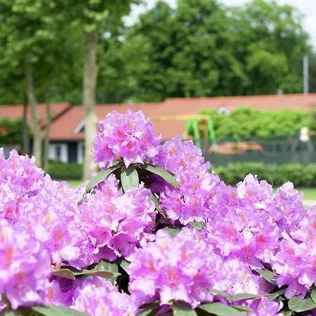 Semesterbostad Comfortable Bungalow With A Terrace At The Bedafse Bergen Uden