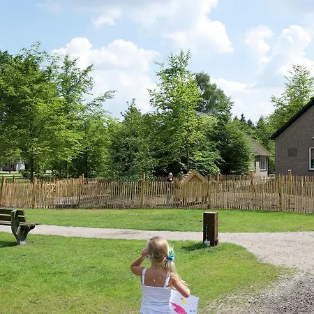 Comfortable Bungalow With A Terrace At The Bedafse Bergen